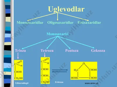 uglevodlar 2 — PPT