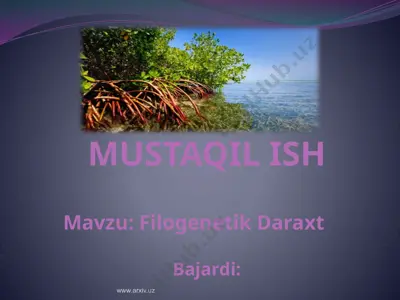 filogenetik daraxt — PPTX