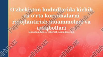 kichik va o'rta biznesni rivojlantirishning imkoniyatlari — PPTX