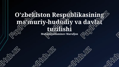 hududiy davlat boshqaruv tizimi — PPTX