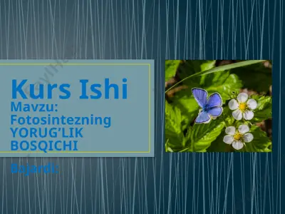 fotosintezning yorug'lik bosqichi — PPTX