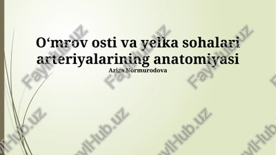 oʻmrov osti va yelka sohalari arteriyalarining anatomiyasi — PPTX