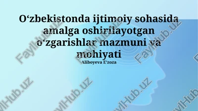ijtimoiy soha islohotlarining mohiyati — PPTX