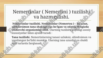 nemertinlar ( nemertini ) tuzilishi va hazm qilishi — PPTX