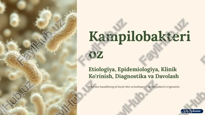 kampilobakterioz — PPTX