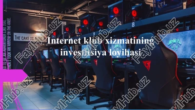 internetklub xizmatining investitsiya loyihasi — PPTX