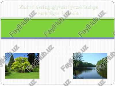 chtobi ya sdelala dlya uluchsheniya ekologii svoego goroda — PPTX