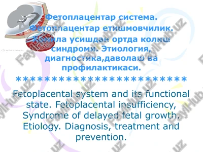 fetoplatsentar sistema — PPTX