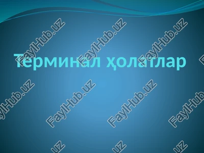terminalholatlar — PPTX