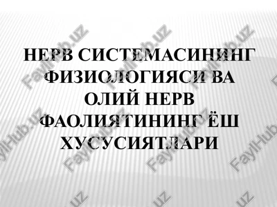 nerv sistemasining fiziologiyasi va oliy nerv faoliyatining yosh xususiyatlari — PPTX