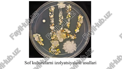 sofkulturalarniizolyatsiyalashusullari — PPTX
