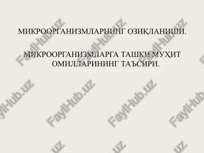 mikroorganizmlarning oziqlanishi — PPT