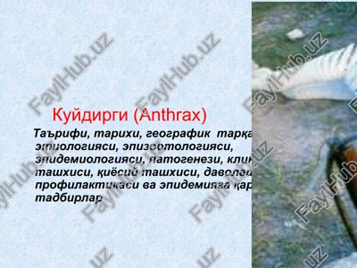 kuydirgi (anthrax) — PPTX