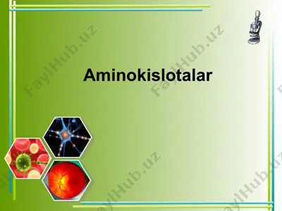 aminokislotalar — PPT