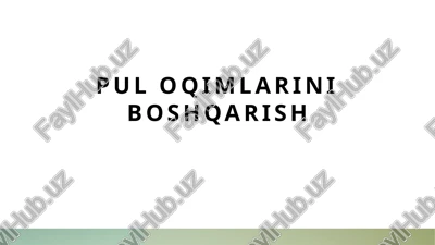 pul oqimlarini boshqarish — PPTX