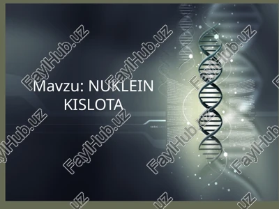 nuklein kislota — PPTX