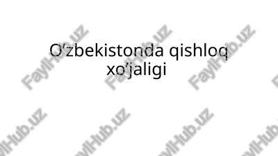 o’zbekistonda qishloq xo’jaligi — PPTX