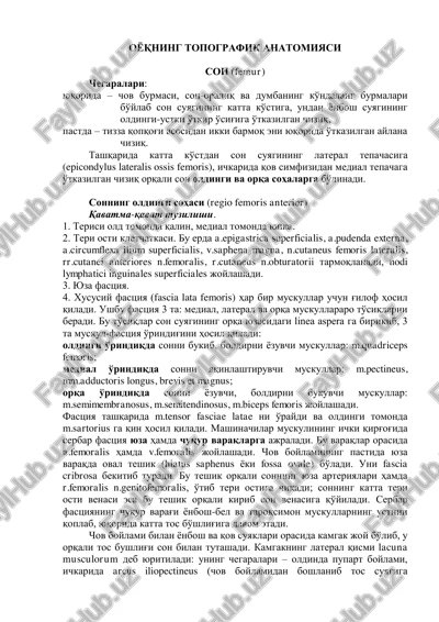 oyoqning topografik anatomiyasi — PDF