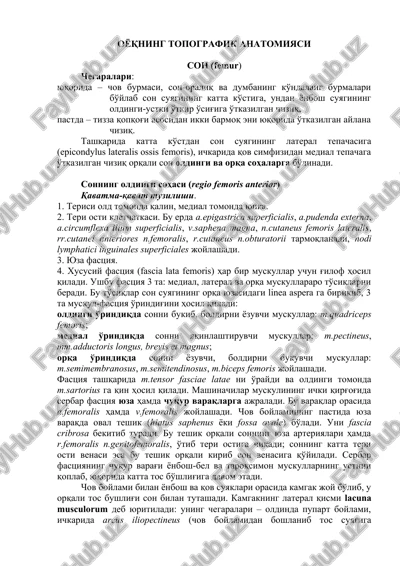 oyoqning topografik anatomiyasi — DOCX