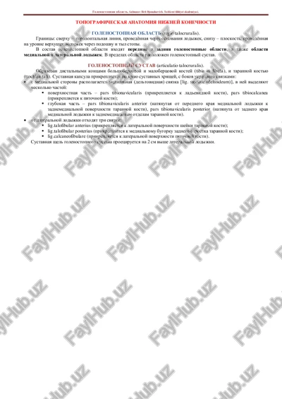 topograficheskaya anatomiya nijney konechnosti — PDF