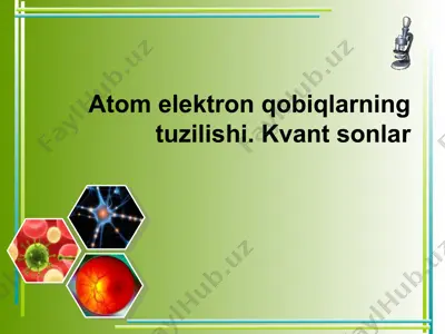 atom elektron qobiqlarning tuzilishi. kvant sonlar — PPT