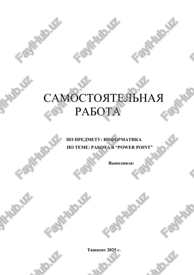 samostoyatelnaya rabota po informatike — DOCX