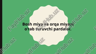 boshmiyavaorqamiyaninganatomiyasi — PPTX