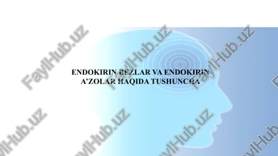 endokirin bezlar va endokirin a’zolar haqida tushuncha — PPTX