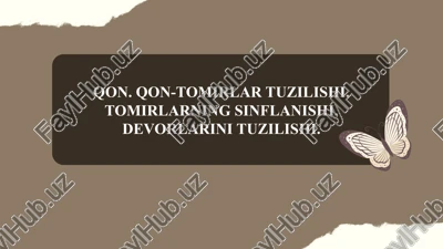 qon. qon-tomirlar tuzilishi. tomirlarning sinflanishi, devorlarini tuzilishi. — PPTX