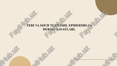 teri va soch tuzilishi. epidermis va derma qavatlari — PPTX
