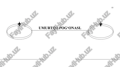 umurtqa pog'onasi — PPTX