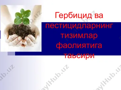 гербицид ва пестицидларнинг тизимлар фаолиятига таьсири — PPT