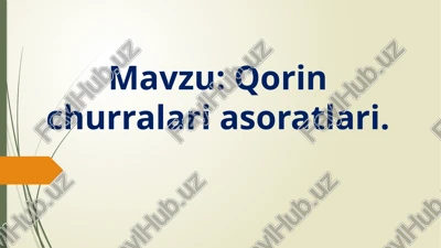 qorin tashqi churrasi — PPTX