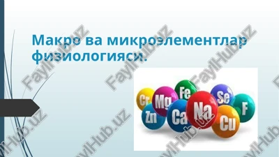 makrovamikroelementlar fiziologiyasi — PPTX