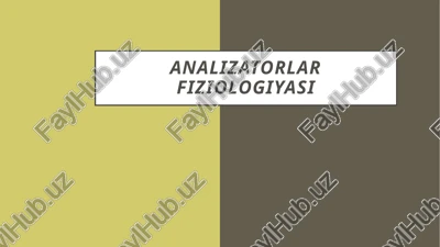 analizatorlar fiziologiyasi — PPTX