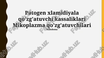 xlamidiya va mikoplazma infektsiyalari — PPTX