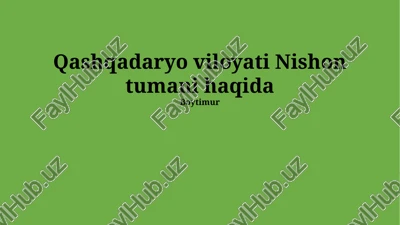 nishon tumani haqida — PPTX