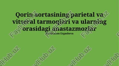 buyrak arteriyalari va ularning anastomozlari — PPTX