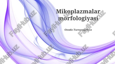 mikoplazmalar morfologiyasi — PPTX