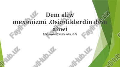 nafaas olish mexanizmlari — PPTX