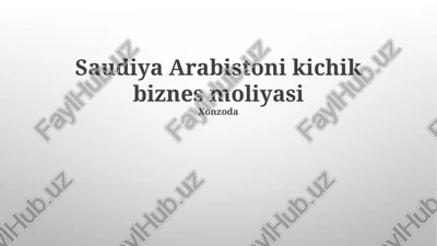 saudiya arabistoni kichik biznes moliyasi — PPTX
