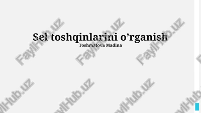 sel toshqinlarini o’rganish — PPTX