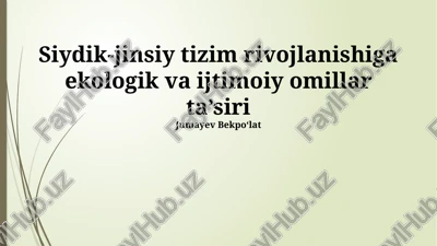 siydik-jinsiy tizim rivojlanishiga ekologik va ijtimoiy omillar ta’siri — PPTX