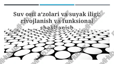 suv osti a‘zolari va suyak iligi: rivojlanish va funksional shakllanish — PPTX