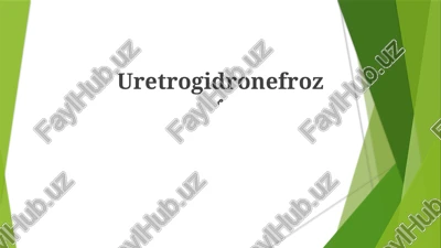 uretrogidronefroz — PPTX