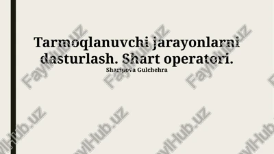 o'zaro istisnolardan himoya — PPTX