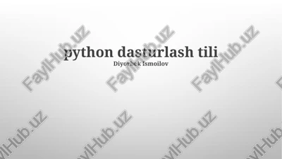 python ga kirish — PPTX