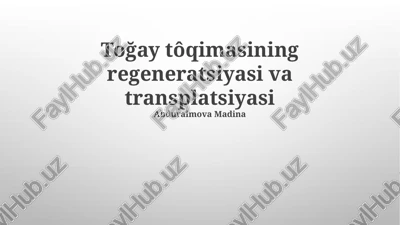 suyak to'qimasining transplantatsiyasi — PPTX