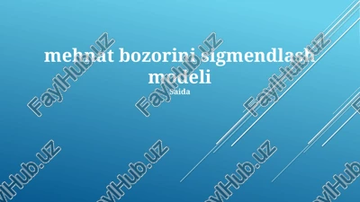 mehnat bozorini sigmendlash modeli — PPTX