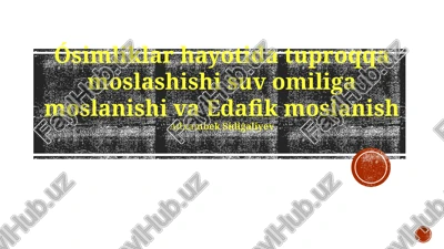 suv va tuproq omillariga moslashish — PPTX